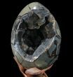 Septarian Dragon Egg Geode - Removable Section #89782-3